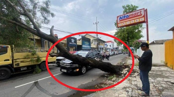 Mobil travel Toyota Kijang Innova Reborn ditimpa pohon roboh di depan kantor Satlantas Polres Ponorogo