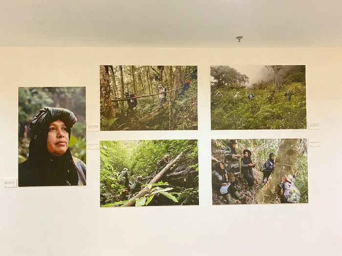 Pameran foto dan infografis bertajuk 