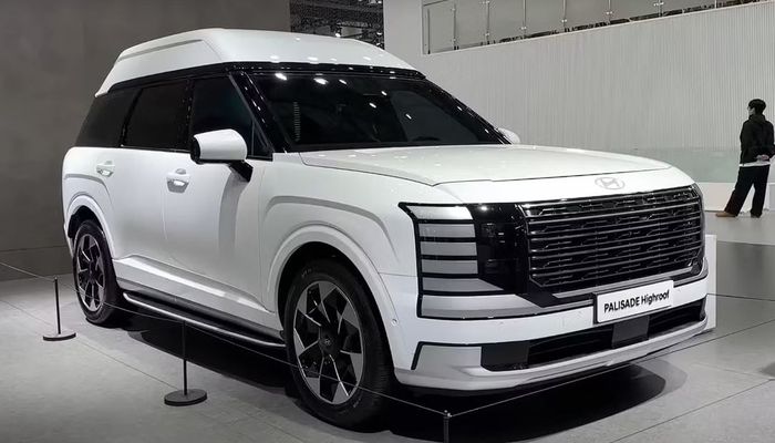 penampakan Hyundai Palisade Highroof