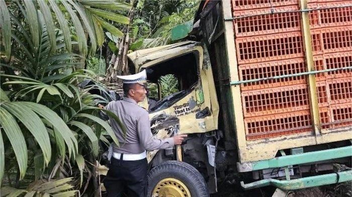 Truk Mitsubishi Canter muatan ayam yang ditabrak bus PO ANS nopol BA 7082 QU di Tanjung Gadang, Sijunjung, Sumatera Barat