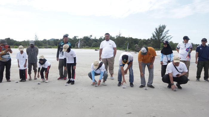Kegiatan pelepasliaran tukik di Pantai Pasir Panjang