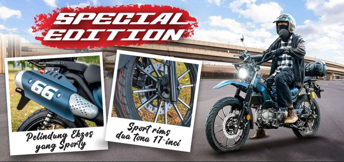 Aveta Ranger Max Explorer Special Edition