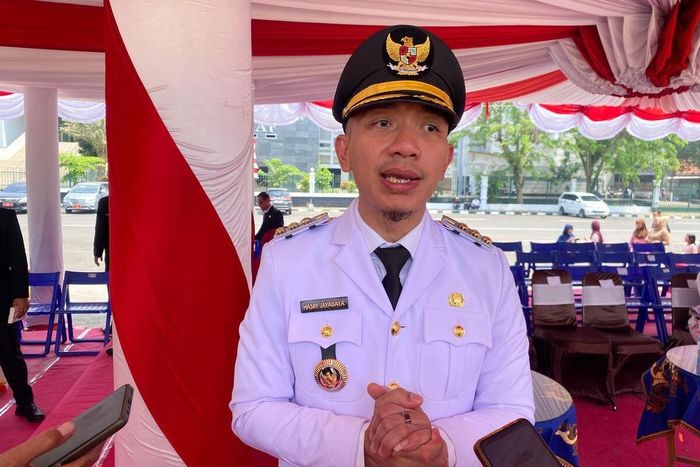 Bupati Lebak, Hasbi Jayabaya