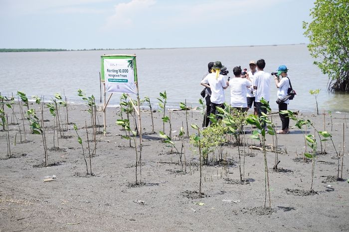 Penanaman 10.000 bibit mangrove di kawasan pesisir Pabean Ilir, Kabupaten Indramayu, Jawa Barat. 