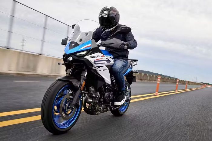 fascia Suzuki SV-7GX