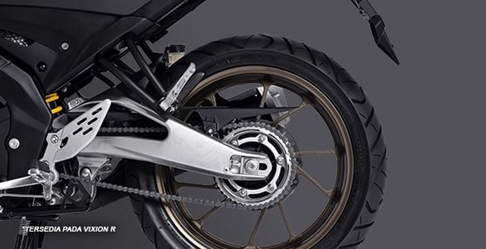 Swing arm Vixion R