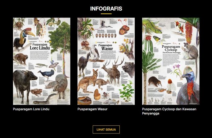 Kanal khusus infografis di situs web nationalgeographic.co.id.