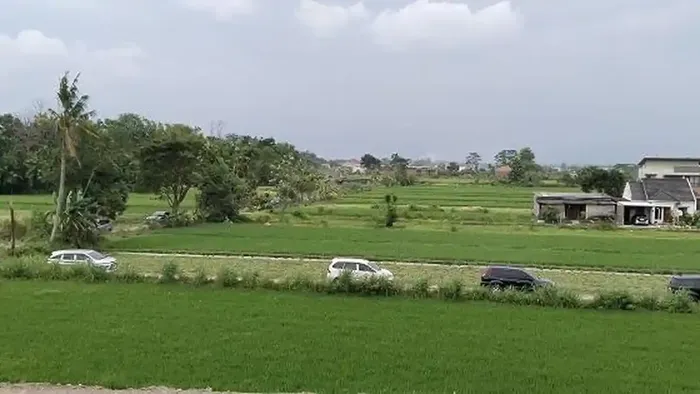 Deretan mobil pemudik yang tersesat masuk area sawah dan desa saat menuju gerbang tol Purwomartani akibat mengikuti arah Google Maps
