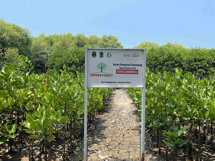 Program KIJANGKU TMMIN