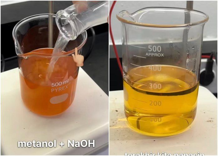 Proses pengolahan minyak jelantah jadi biodiesel atau biosolar (kanan)