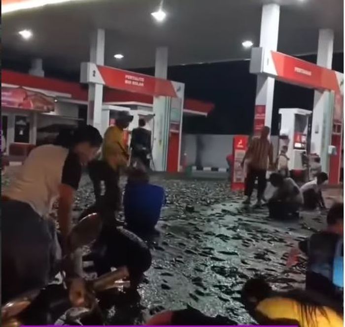 Warga berbondong-bondong membantu memunguti ikan lele yang tumpah di area SPBU Cokro, Klaten, Jawa Tengah untuk dikembalikan ke pemiliknya