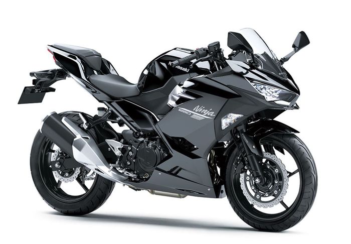 Kawasaki Ninja 250 Standar