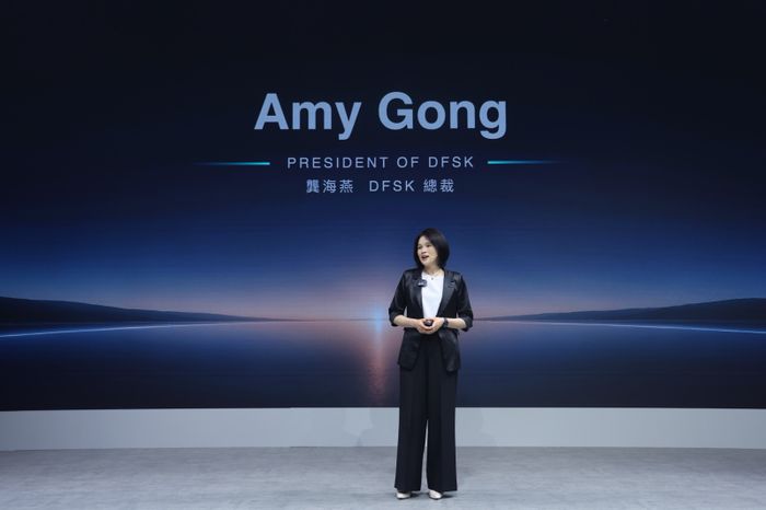 Amy Gong, President of DFSK