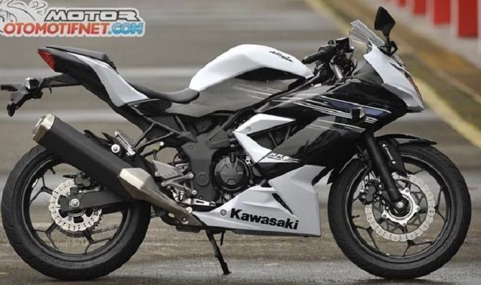Kawasaki Ninja RR Mono