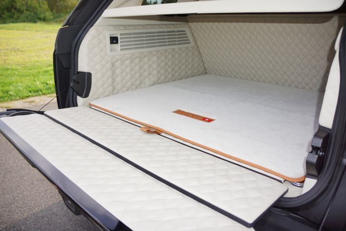 Bagasi dengan lapisan kulit dan karpet