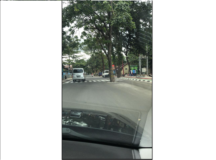 Penampakan dari tangkapan kamera pengguna jalan terlihat pohon tumbuh di tengah jalan