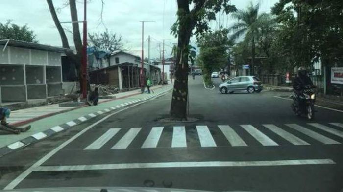 Pohon menyeberang jalan di Bandung