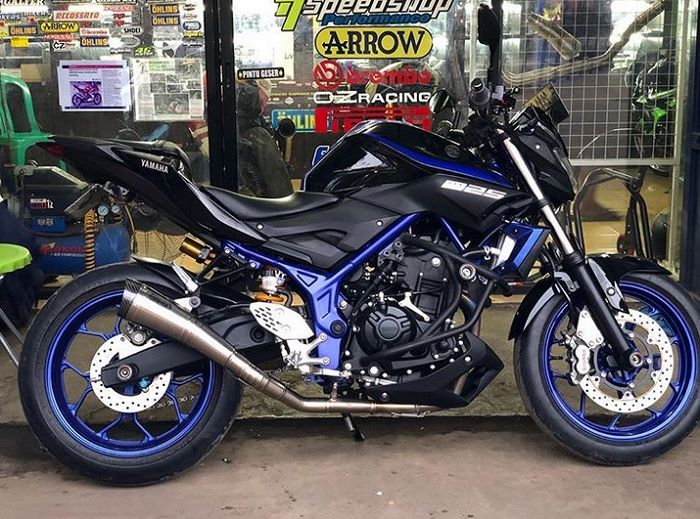 Yamaha MT-25 dengan modifikasi mistis