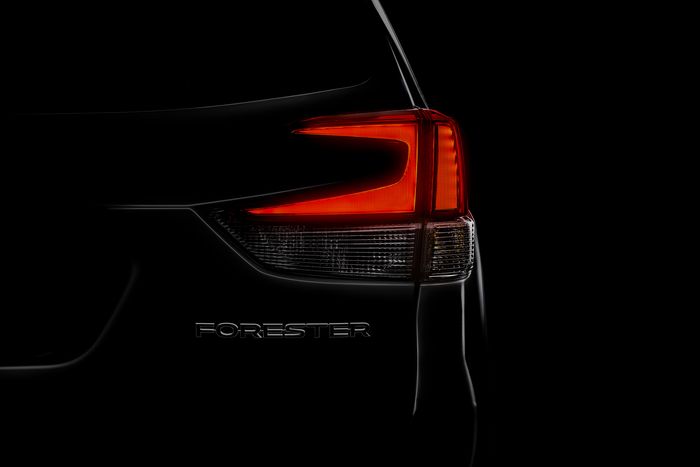 Foto teaser Subaru Forester