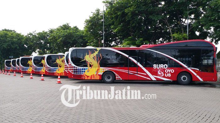 Ada 8 unit Suroboyo Bus yang akan dioperasikan