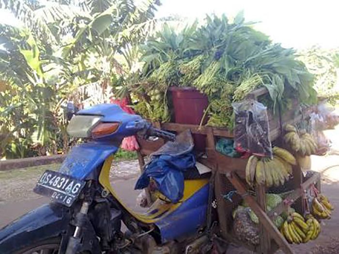 Bobot mengangkut sayur dan segala rak-nya bisa 200 kg!