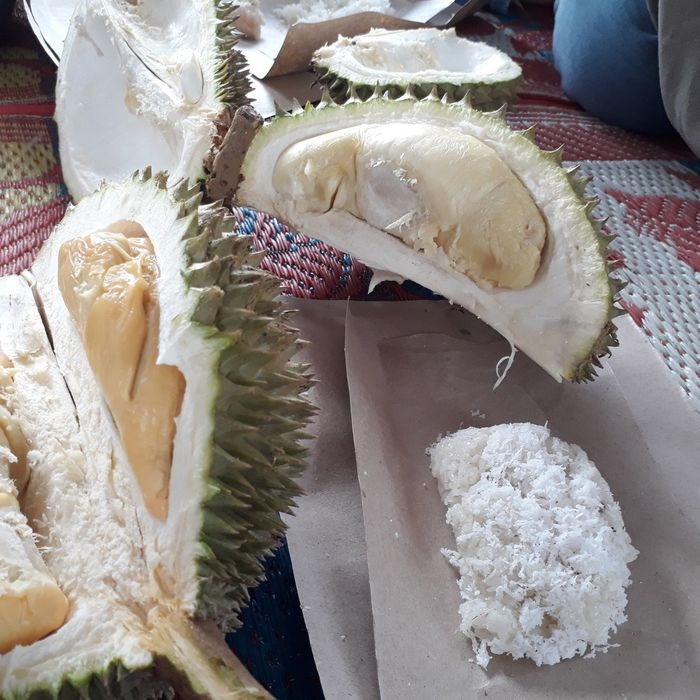 Ketan Durian lamak bana