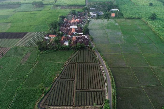 Foto udara proyek lokasi tol Probowangi