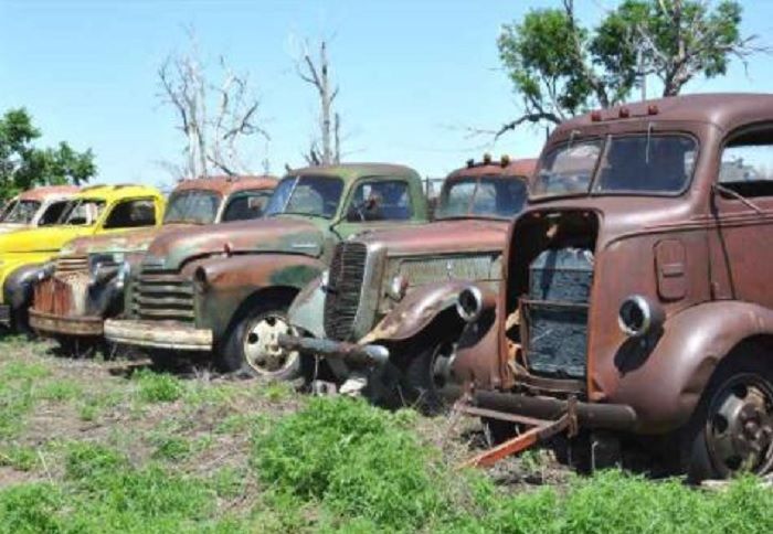 Beberapa mobil yang akan dilelang