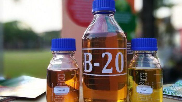 Biodiesel B20