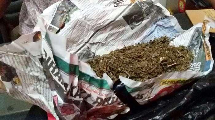 Ganja yang ditemukan di pikap L300