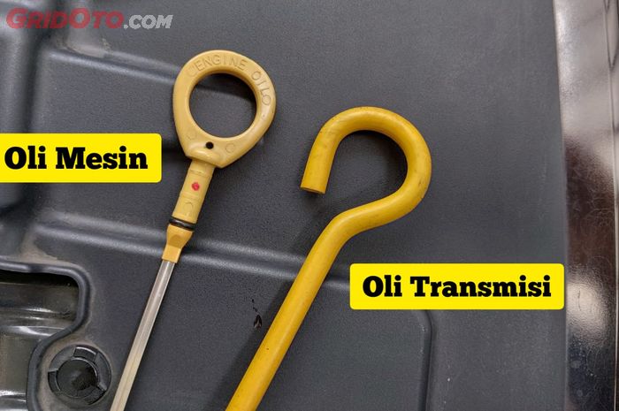 Dipstick oli mesin dan oli transmisi