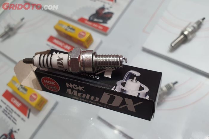 Segini harga busi NGK MotoDX 