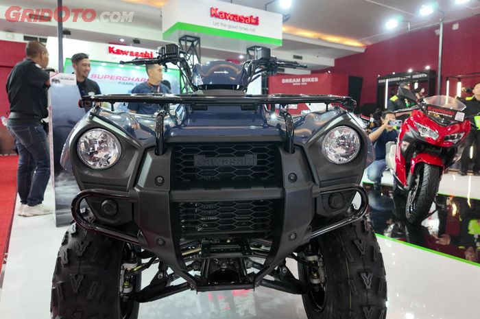 Kawasaki BRUTE FORCE 300