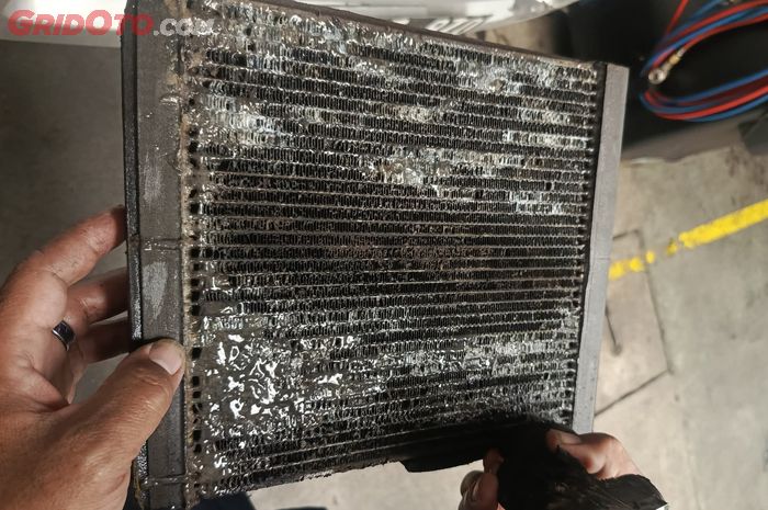Evaporator AC berlendir dan jamur