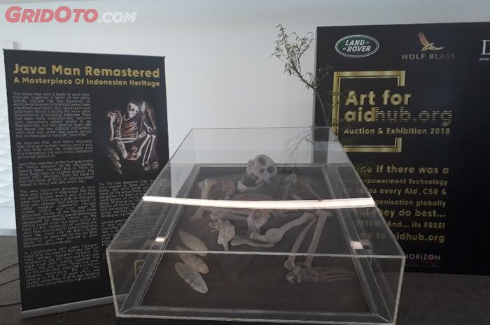 Patung kaca fosil Manusia Jawa yang jadi masterpiece dalam pameran dan lelang