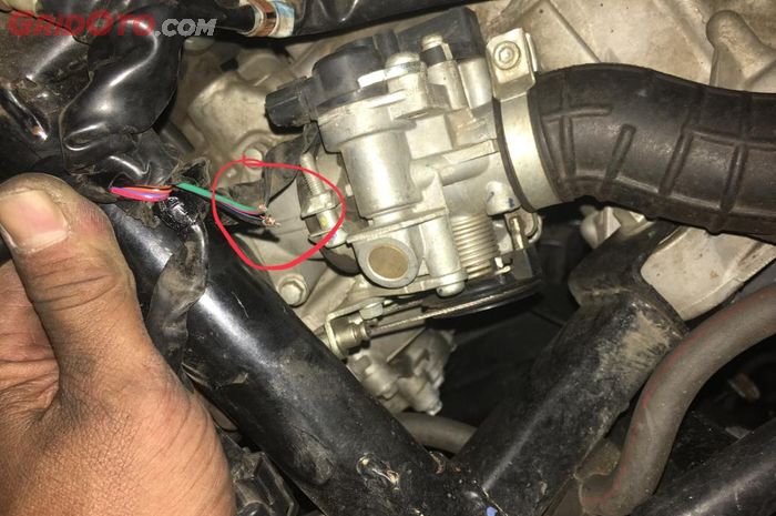 Cegah Kabel Kelistrikan Motor Digigit Tikus Cukup Lakukan Dua Langkah Ini Semua Halaman Gridoto Com