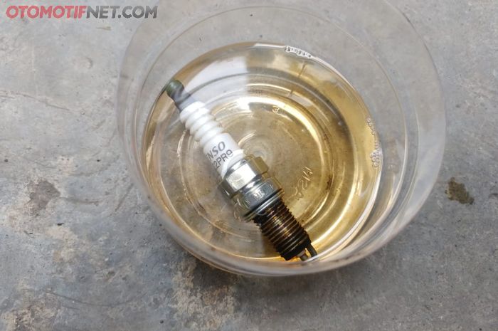 busi direndam bensin