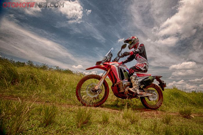 Ilustrasi Honda CRF250 Rally