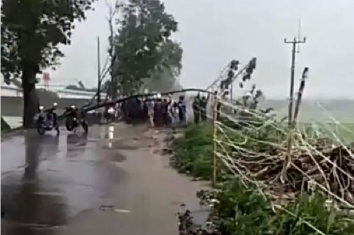 Pohon roboh karena angin puting peliung di Kecamatan Rancaekek, Kabupaten Bandung