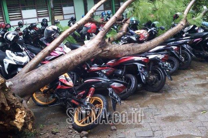 Pohon tumbang di halaman parkir SMKN 1 Tuban menimpa sejumlah kendaraan siswa