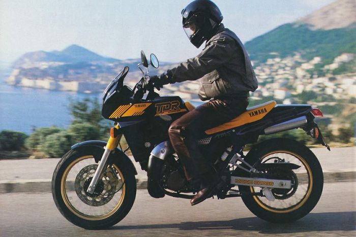 Tampilan Yamaha TDR250 keliatan kayak motor sport naked yang jangkung aja ya?