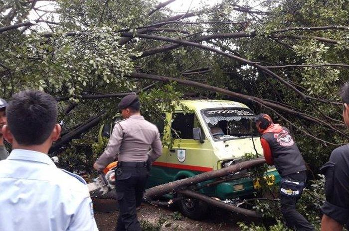 Pohon beringin tumbang menimpa sejumlah kendaraan dan menutupi pintu masuk menuju Pasar Gedebage, Kota Bandung, Rabu (27/3/2019).  