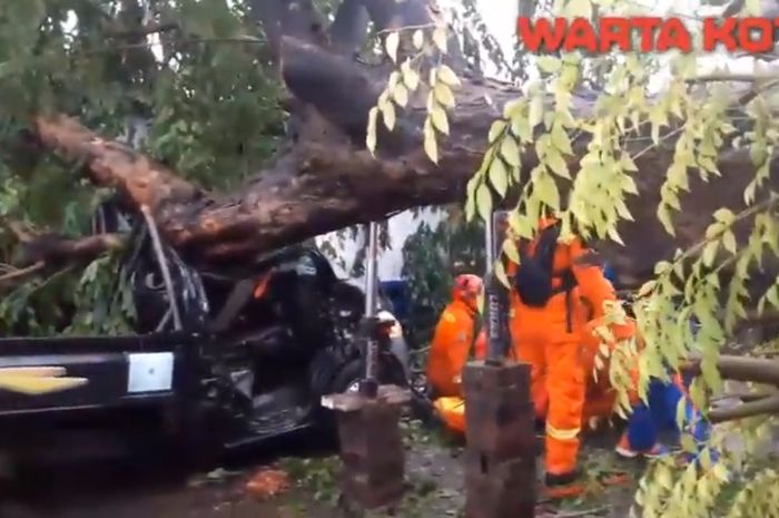 Kondisi mobil bak  yang tertimpa pohon roboh