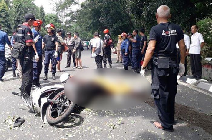 Pengendara motor tertimpa pohon tumbang di Semarang