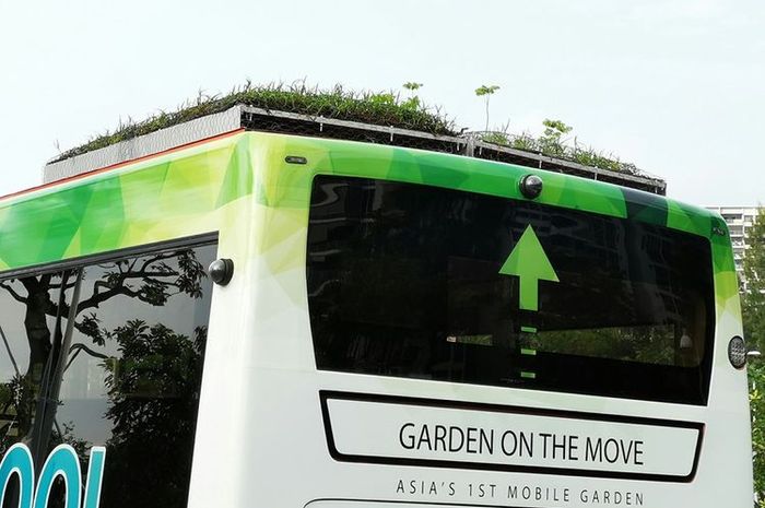 Sekarang ada inovasi atap hijau dipasang di bus
