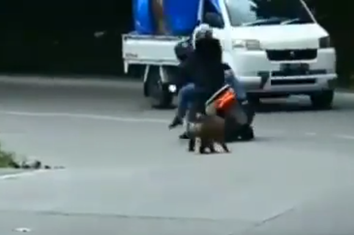 Pengendara Honda PCX150 nyaris senggol Suzuki Megacarry dan terseret aspal, ulah aksi usil monyet