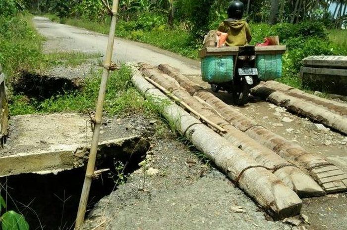 Jembatan di Lampung pakai batang kelapa