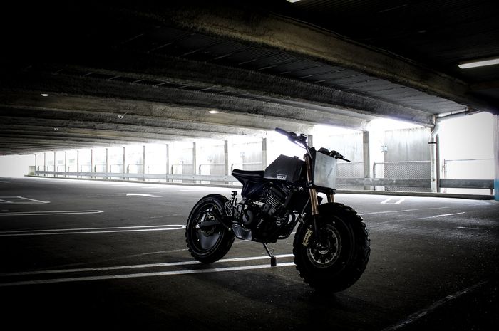 Kawasaki Ninja 250R Urban Fighter