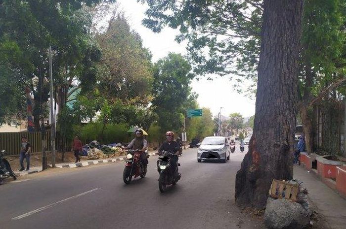Pohon menjorok ke jalan di Cimahi