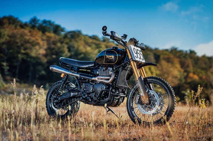 Triumph Scrambler 1200 XE desert sled